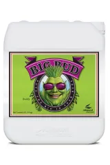 Advanced Nutrients Big Bud 5 Litre