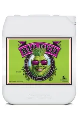 Advanced Nutrients Big Bud 10 Litre