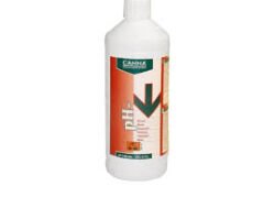 Canna PH- Down Bloom 1 Litre