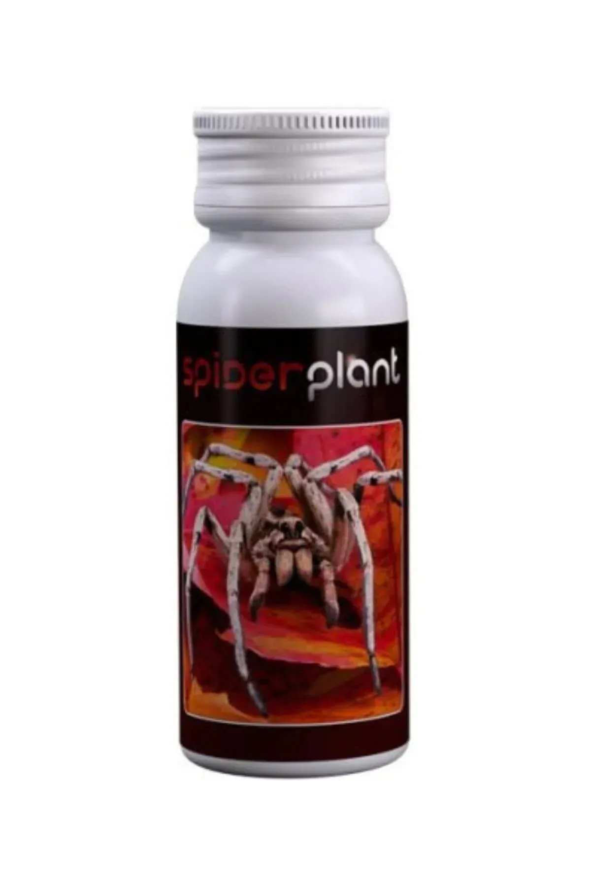 Agrobacterias Spider Plant 60 ml