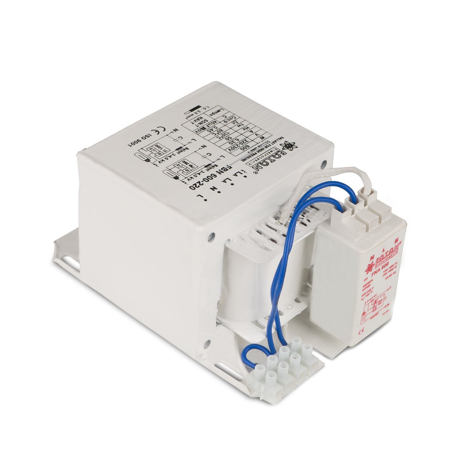 Foton Balast Kit 1000w