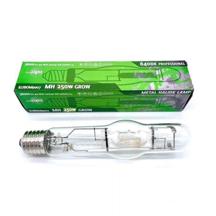 Pure Light 250 w MH Gelişim Dönemi