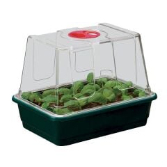 Garland Mini Sera