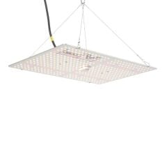 Harvest Master Quantum Board 200W Eco